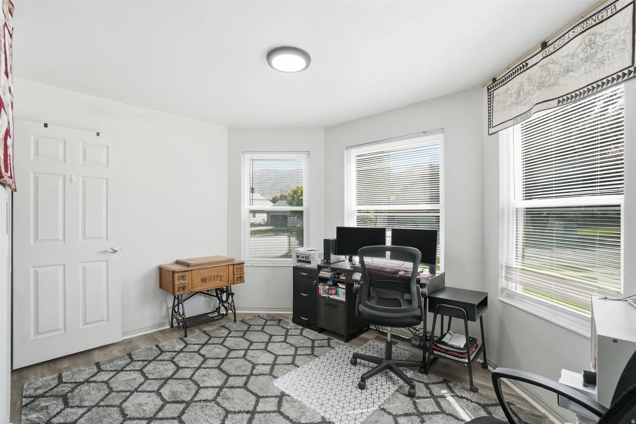 Bright room with multiple windows, wood-finish flooring, a white six-panel door, and a flush-mount ceiling light fixture