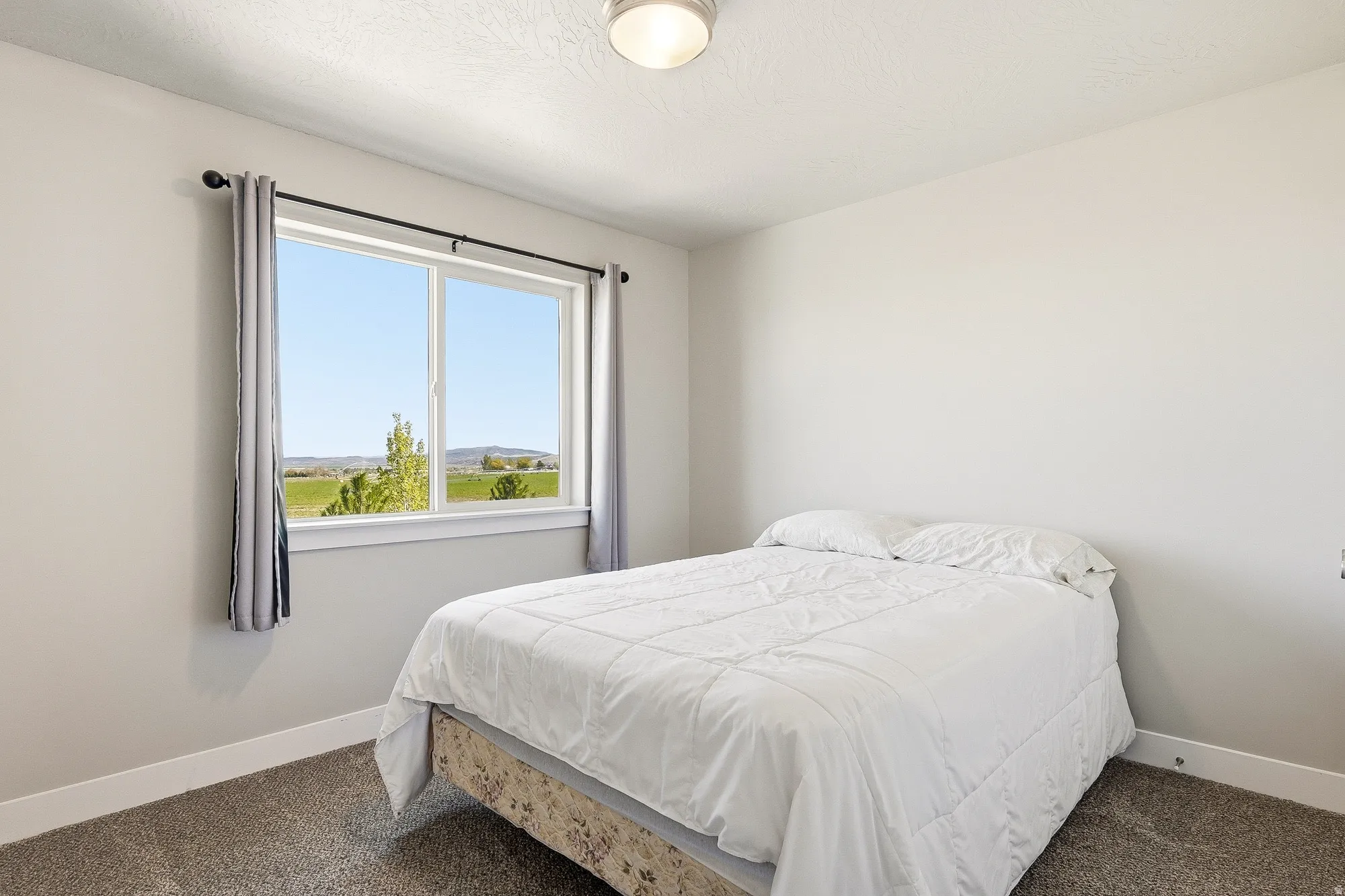Room featuring a single window with a landscape vista, neutral wall paint, and gray textured carpeting