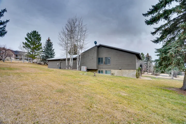 Expansive sloped lawn with mature evergreen and deciduous trees