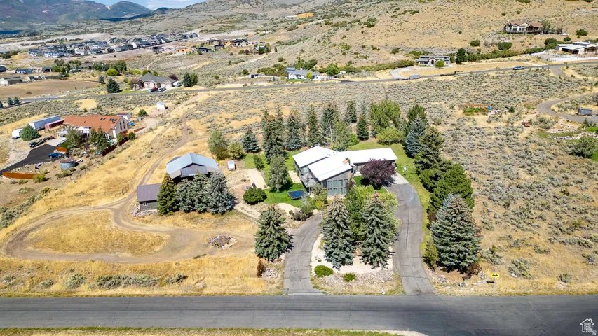 Property featuring expansive land, multiple mature evergreen trees, and a paved driveway leading to the main residence