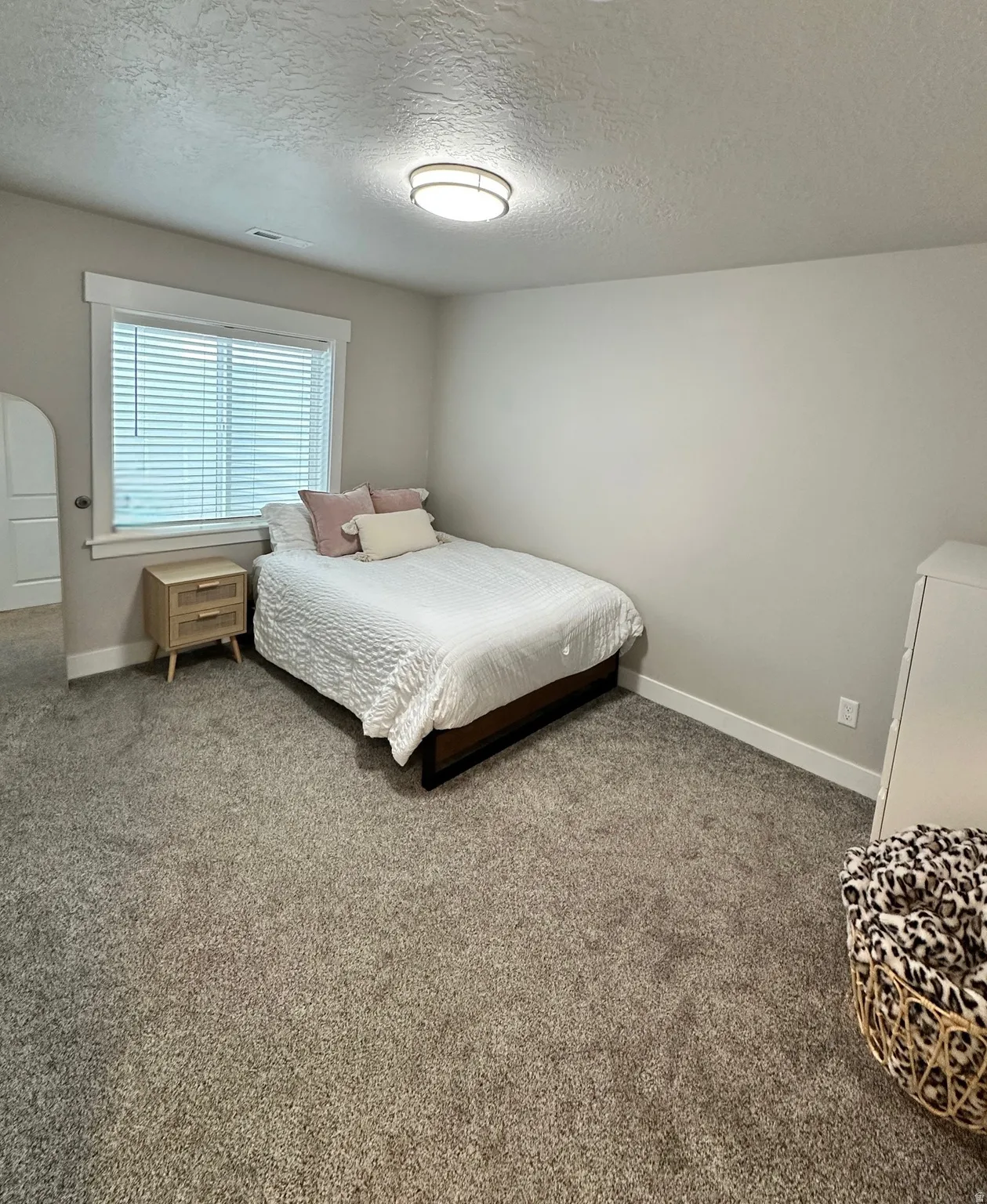 Carpeted room featuring a double-pane window with white blinds, a contemporary flush-mount ceiling light, and neutral wall paint