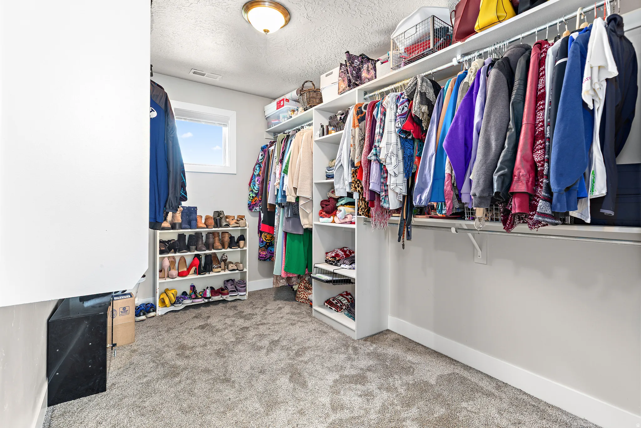 Spacious closet featuring wall-mounted shelving, multiple hanging rods, and soft carpet flooring