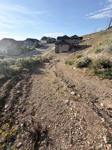 Sloping terrain with natural ground cover