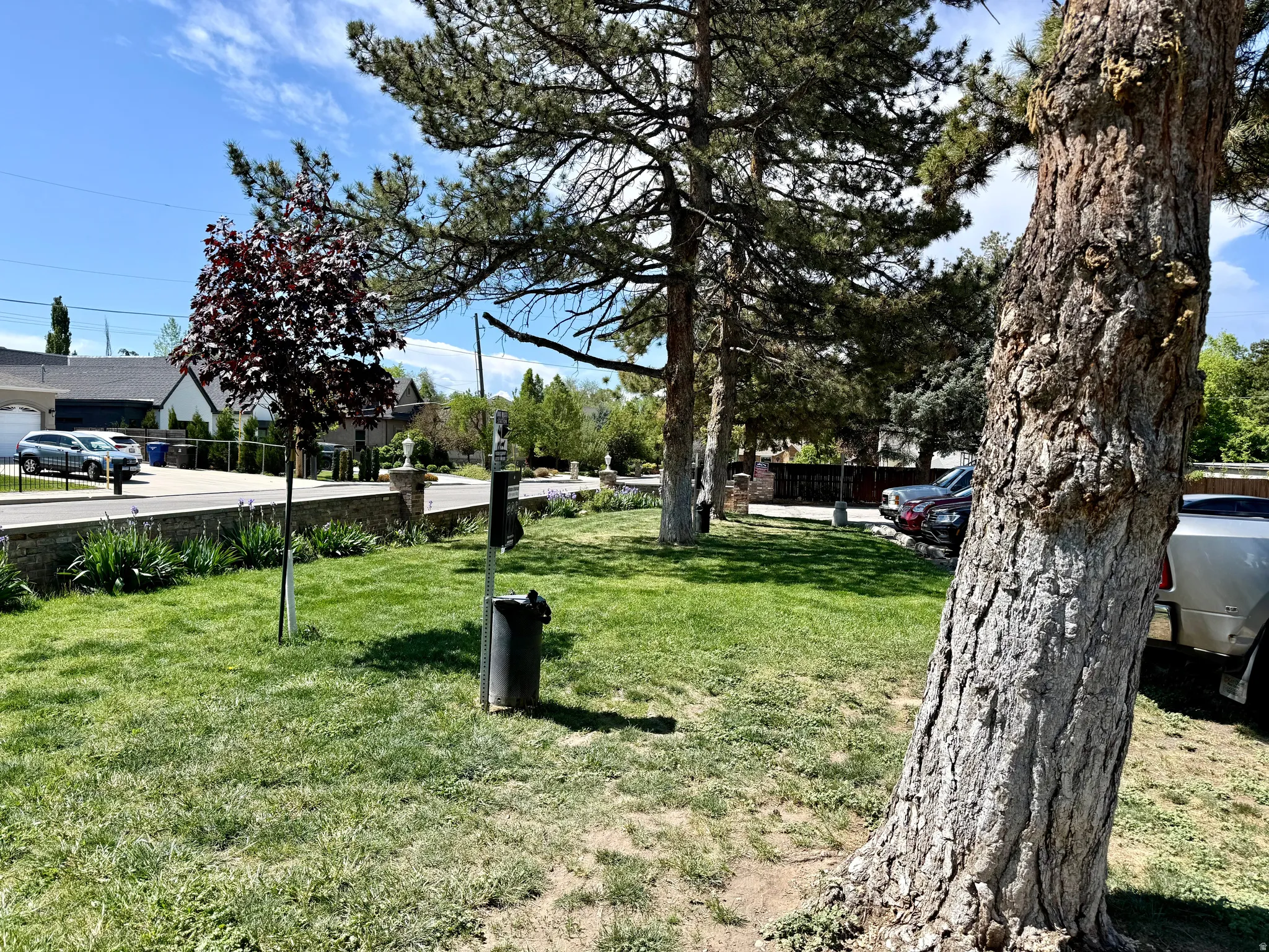 Dog park/area