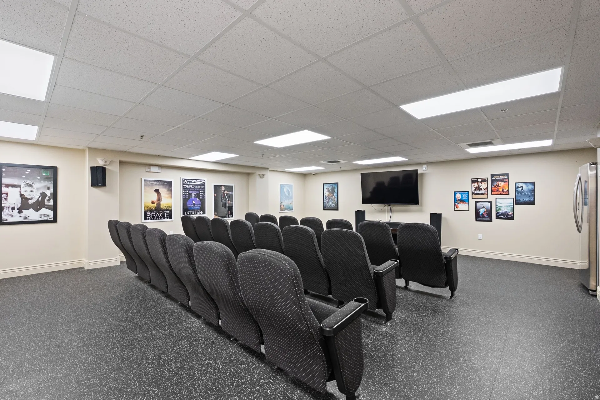 Cinema room with a drop ceiling