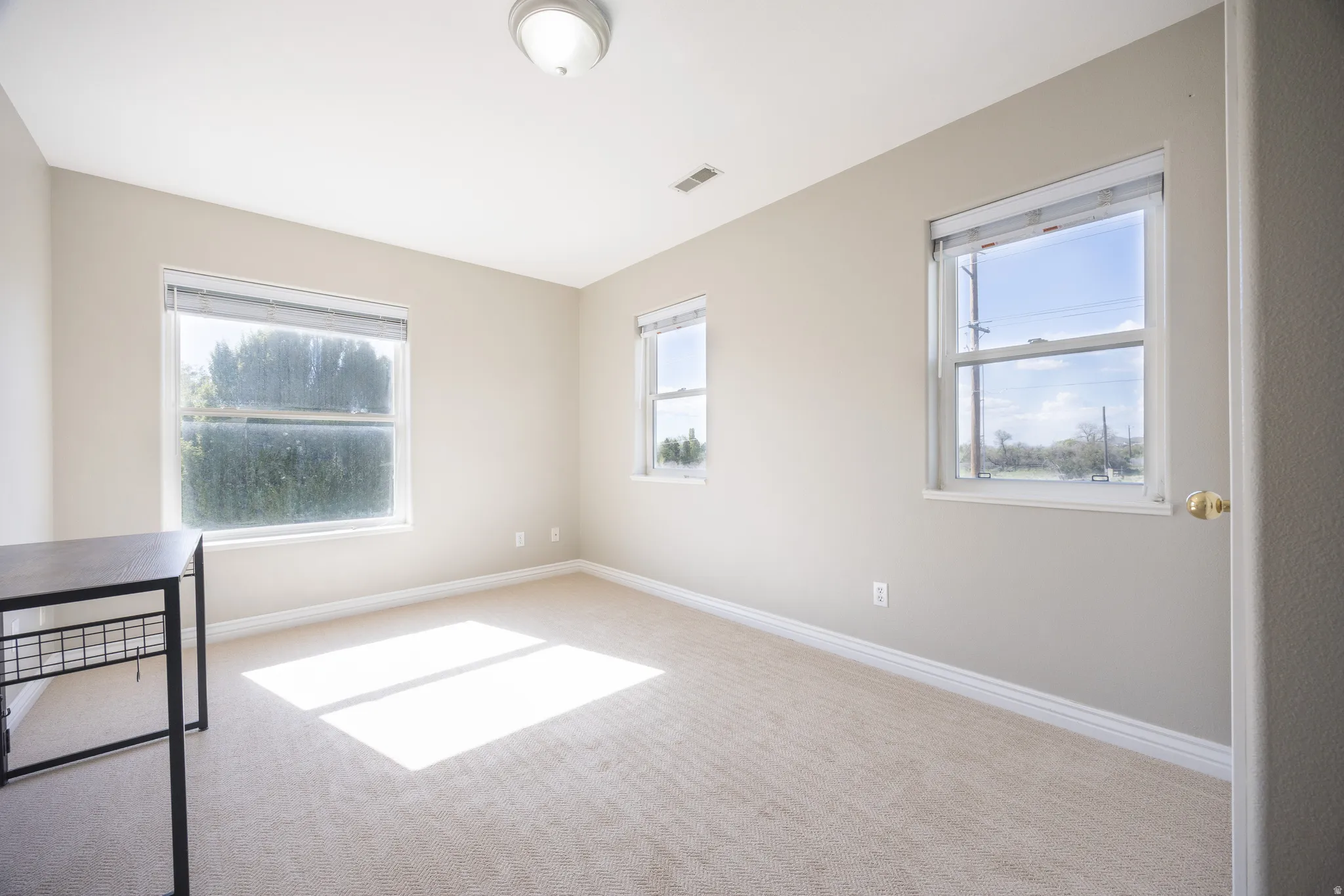 Light-filled room featuring neutral-toned walls, cream carpeting, multiple windows, and a flush-mount ceiling light fixture