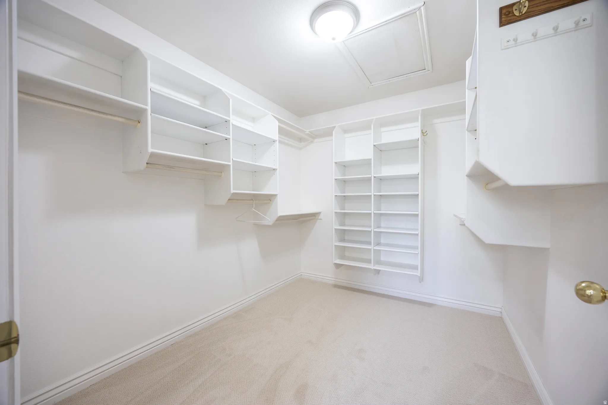 Spacious closet featuring white built-in shelving, multiple hanging rods, and neutral-toned carpeting