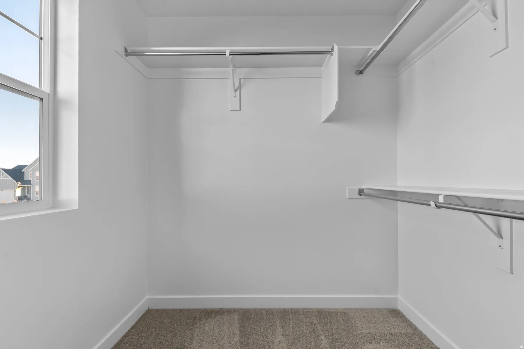 Walk-in closet featuring white walls, carpeting, a window, and multiple built-in shelving and hanging rods