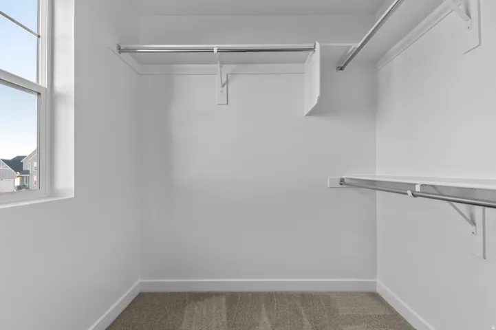 Walk-in closet featuring white walls, carpeting, a window, and multiple built-in shelving and hanging rods