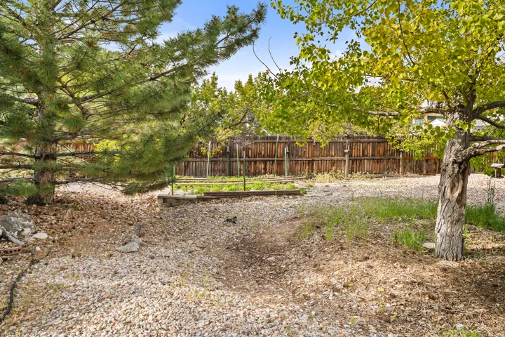 Spacious backyard featuring a wood fence, mature pine, and deciduous trees, with a visible raised garden bed