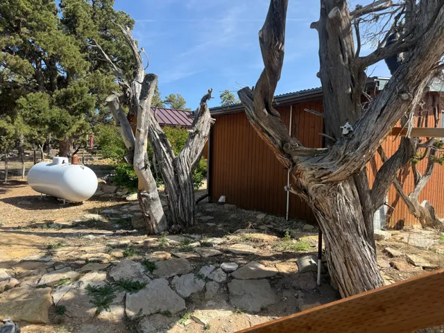 Exterior featuring natural landscaping with mature trees, a metal roof, and a visible propane tank