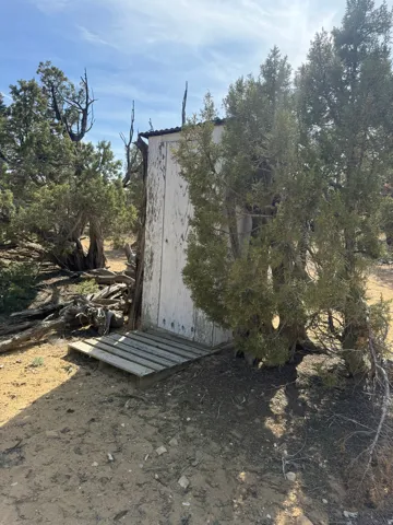 Small rustic structure with weathered white siding, featuring a slatted wood platform entrance and a corrugated metal roof, surrounded by mature evergreen trees