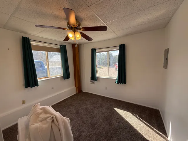 Carpeted room featuring a ceiling fan with integrated lighting, two windows with green drapery, and white wall finishes