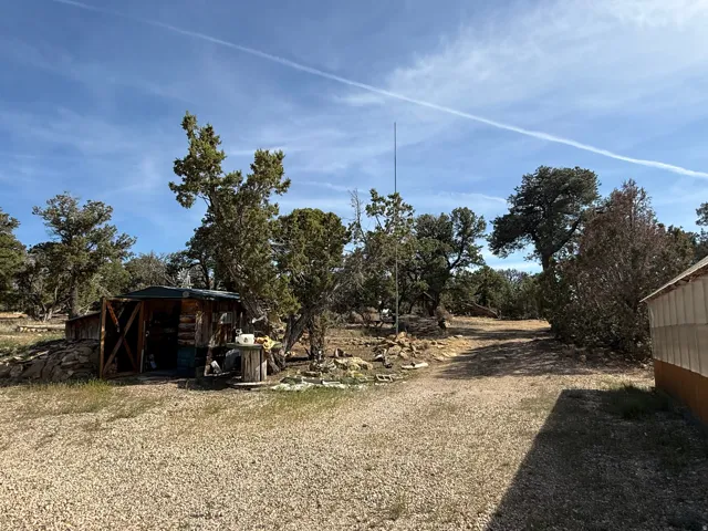 Rustic shed structure with a gravel driveway, surrounded by mature trees and natural landscaping