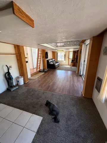 Spacious living area featuring a multi-level design, wood-finish flooring, and carpeted sections