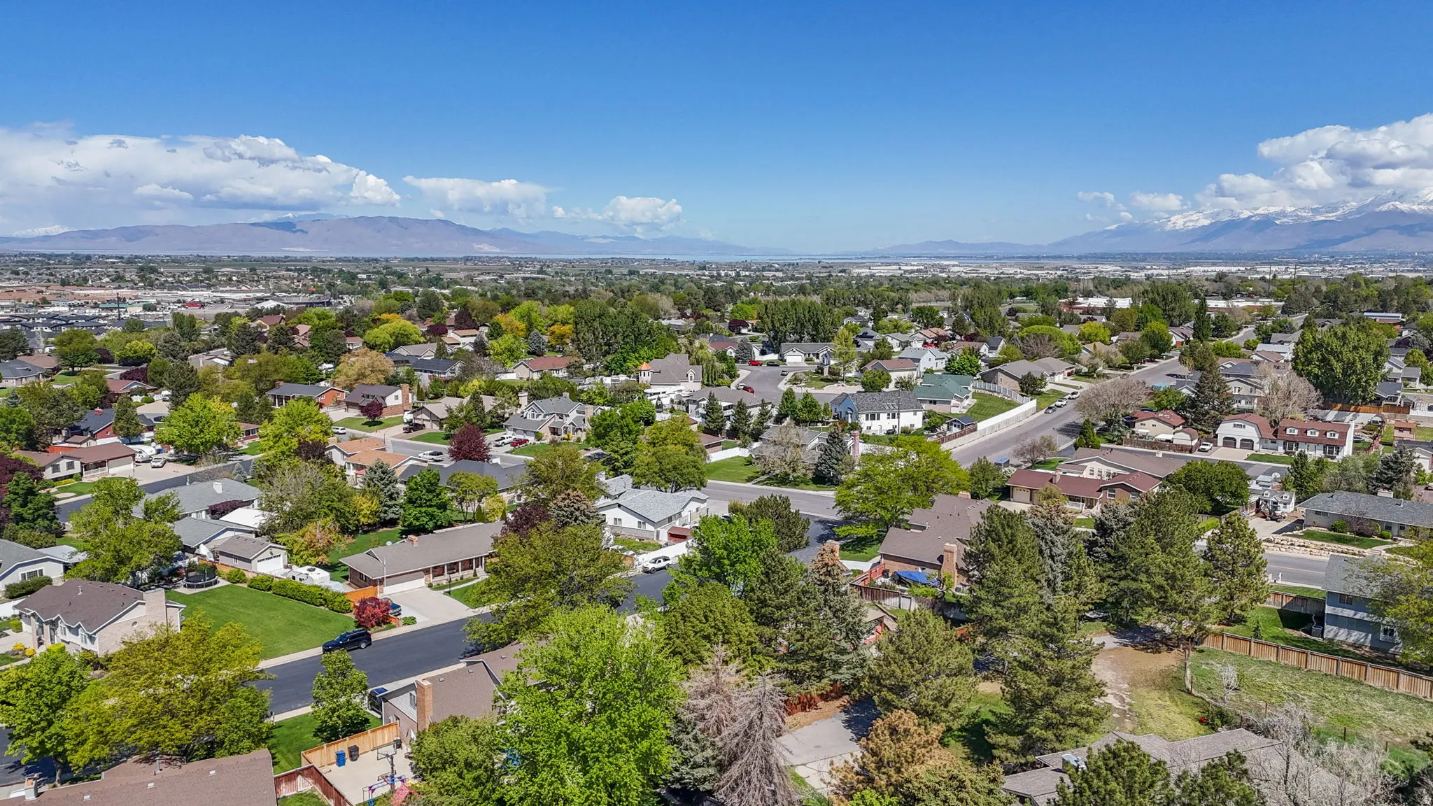 Expansive residential area featuring numerous single-family homes with diverse architectural styles, mature trees, and landscaped yards