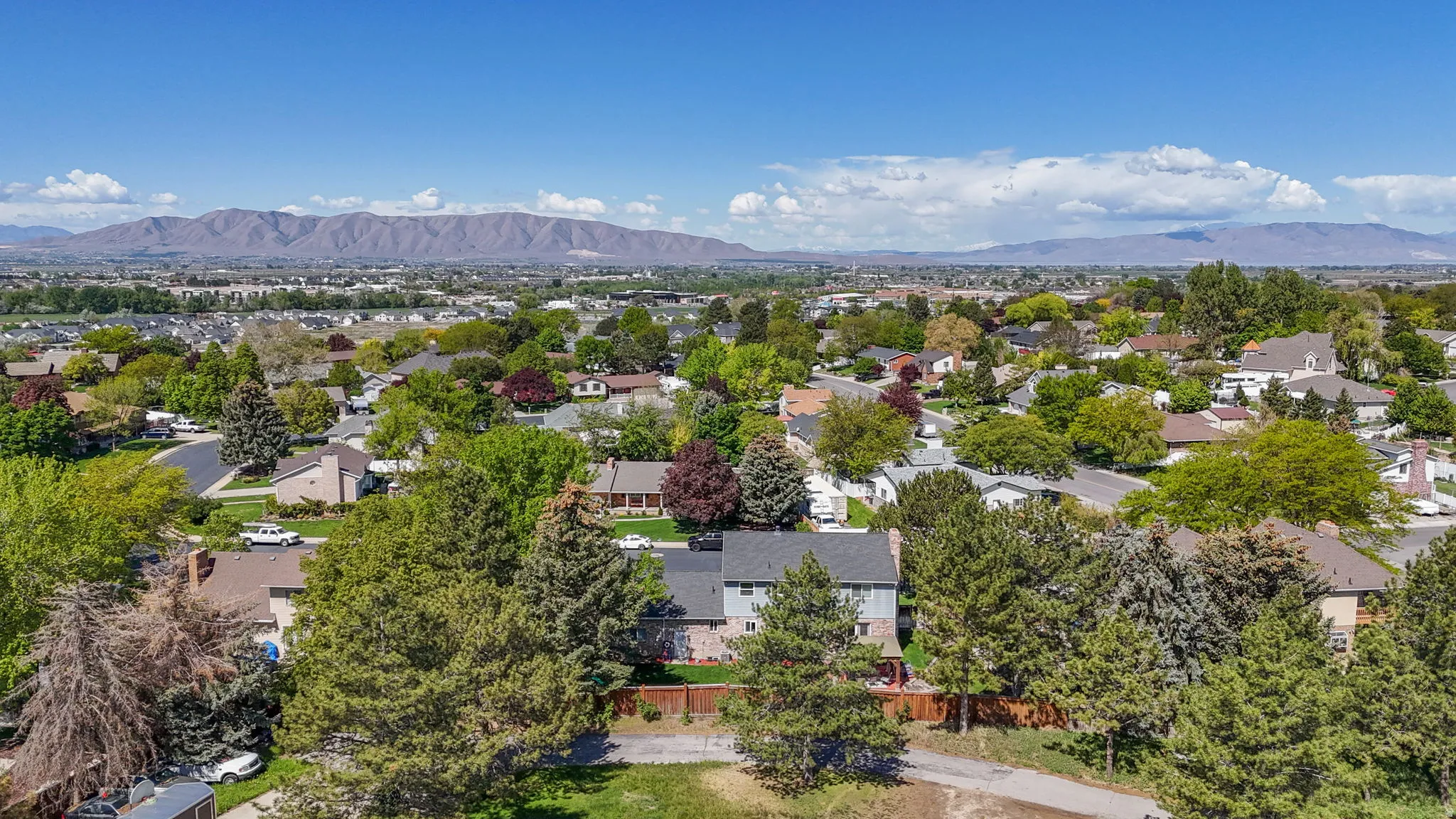 Expansive residential landscape featuring a variety of mature trees and established homes under a clear blue sky