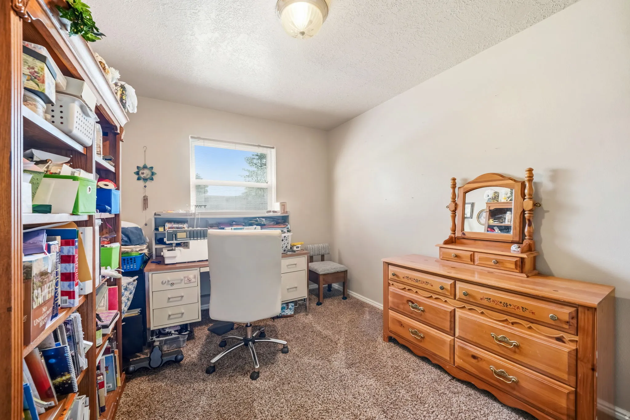 Bright room featuring a window with exterior visibility, light-toned walls, and carpeted flooring