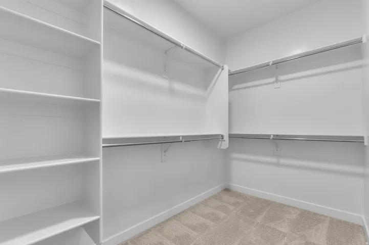 Walk-in closet featuring white wall shelving, multiple hanging rods, white baseboards, and carpet flooring