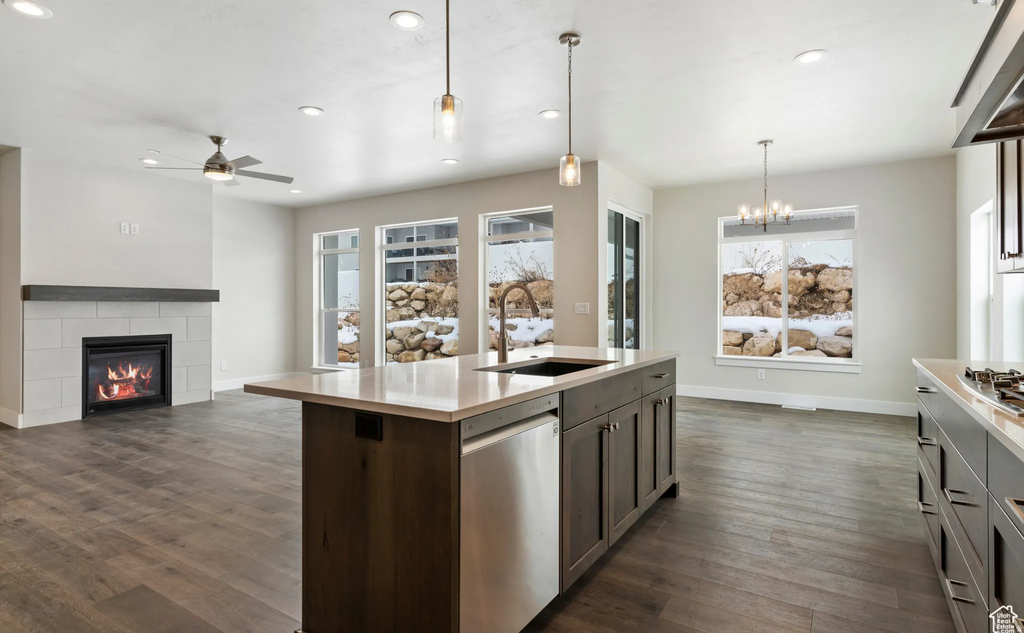 Kitchen with open floor plan, stainless steel appliances, a fireplace, dark wood finish cabinetry, and dark wood finished floors