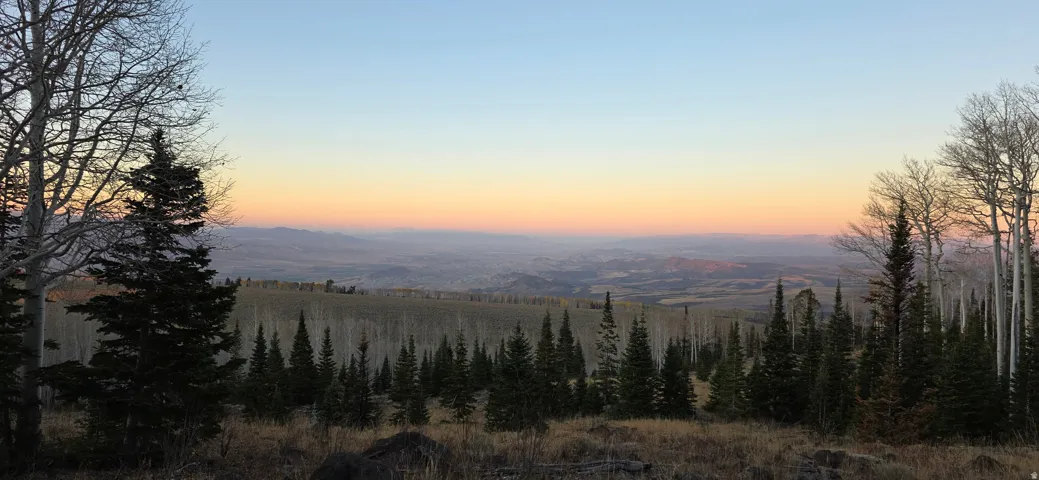 Expansive mountain landscape featuring varied evergreen and deciduous trees, with a distant valley under a gradient sky