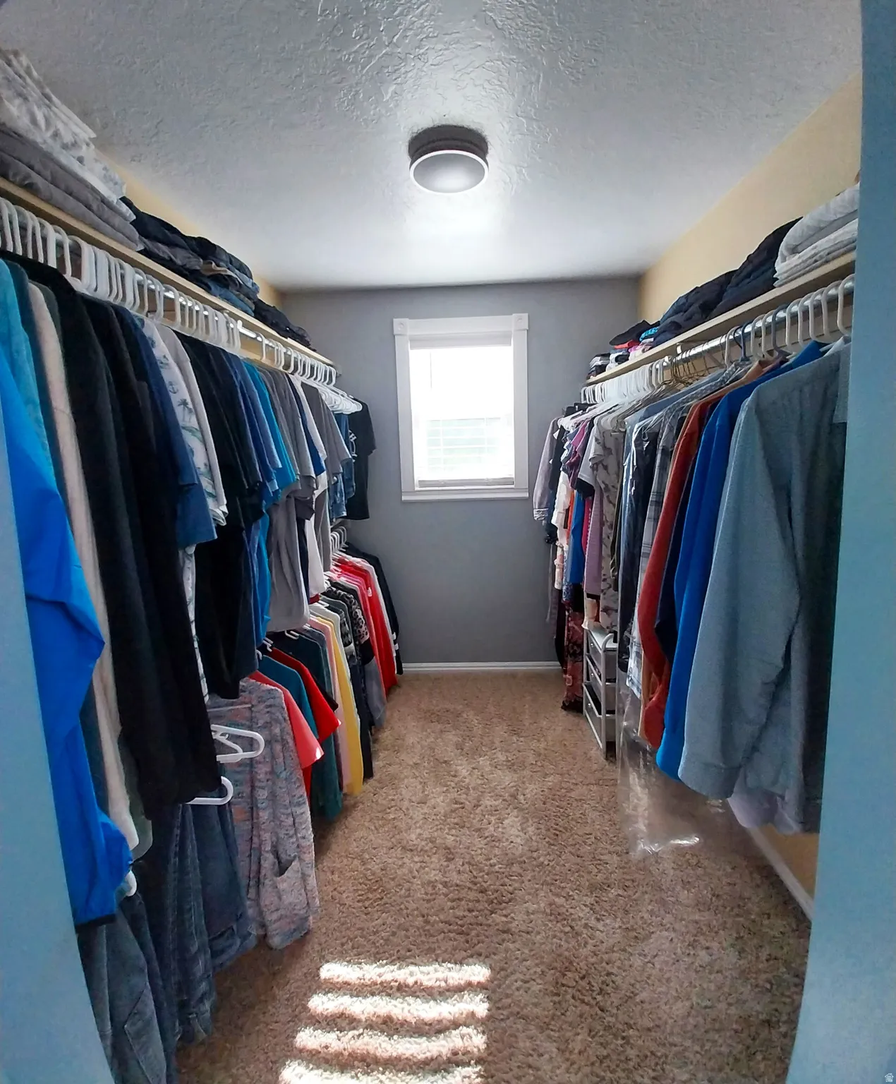 Walk in closet with light colored carpet