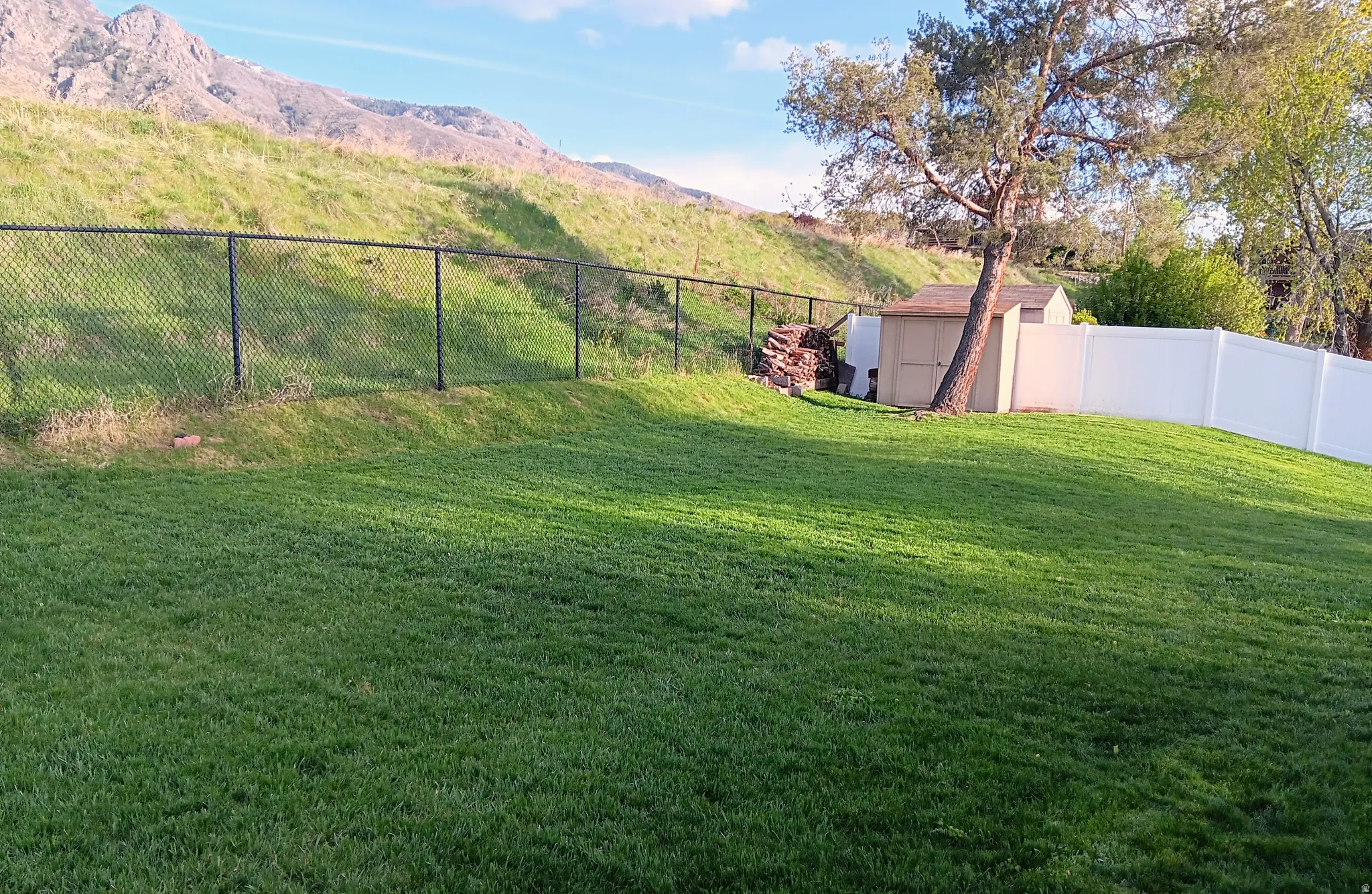 Fenced backyard with a shed and a mountain view
