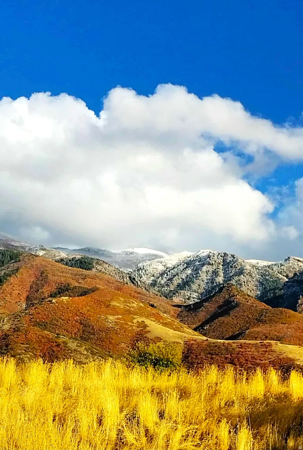 Deck mountains views