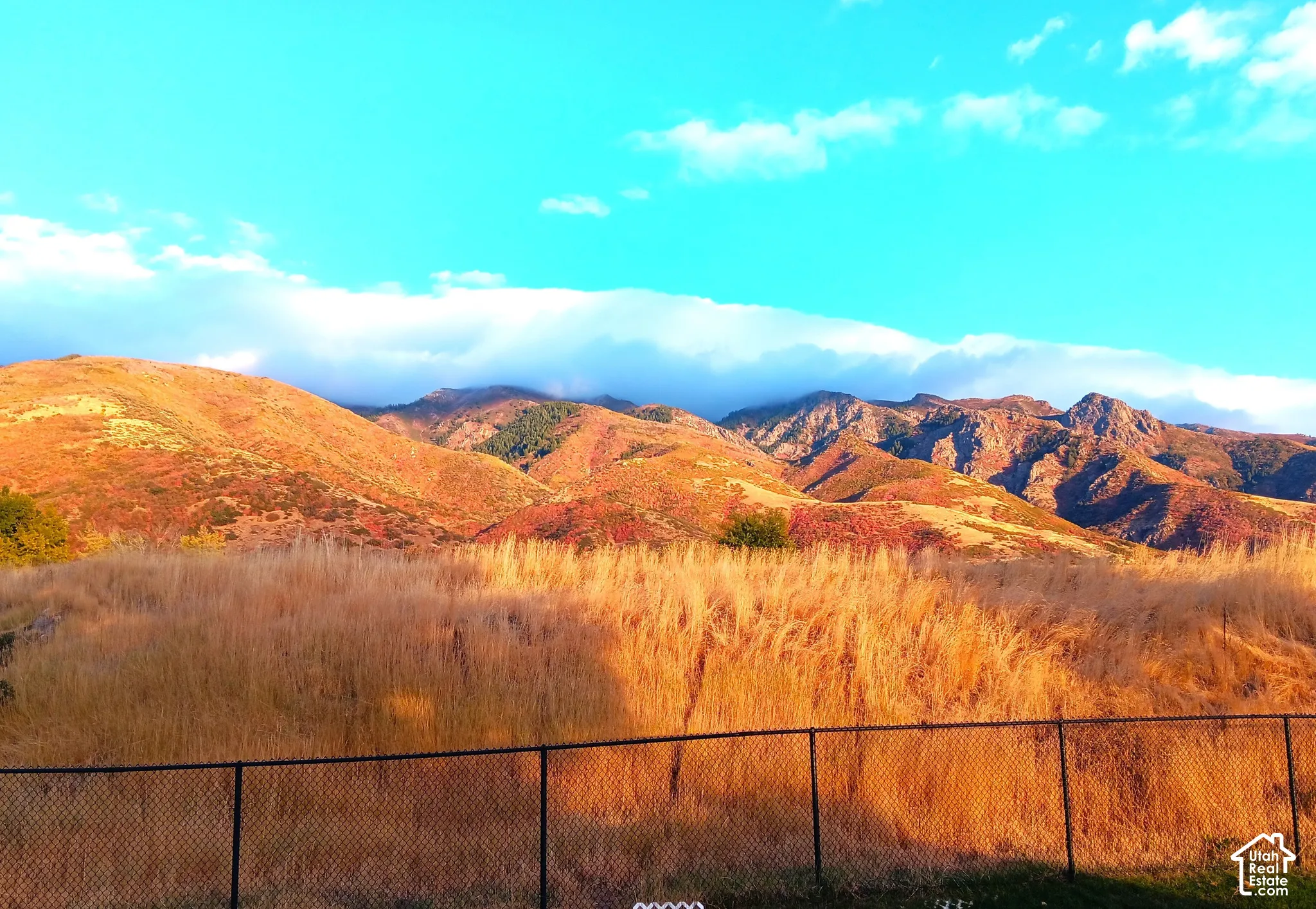 Deck mountains views