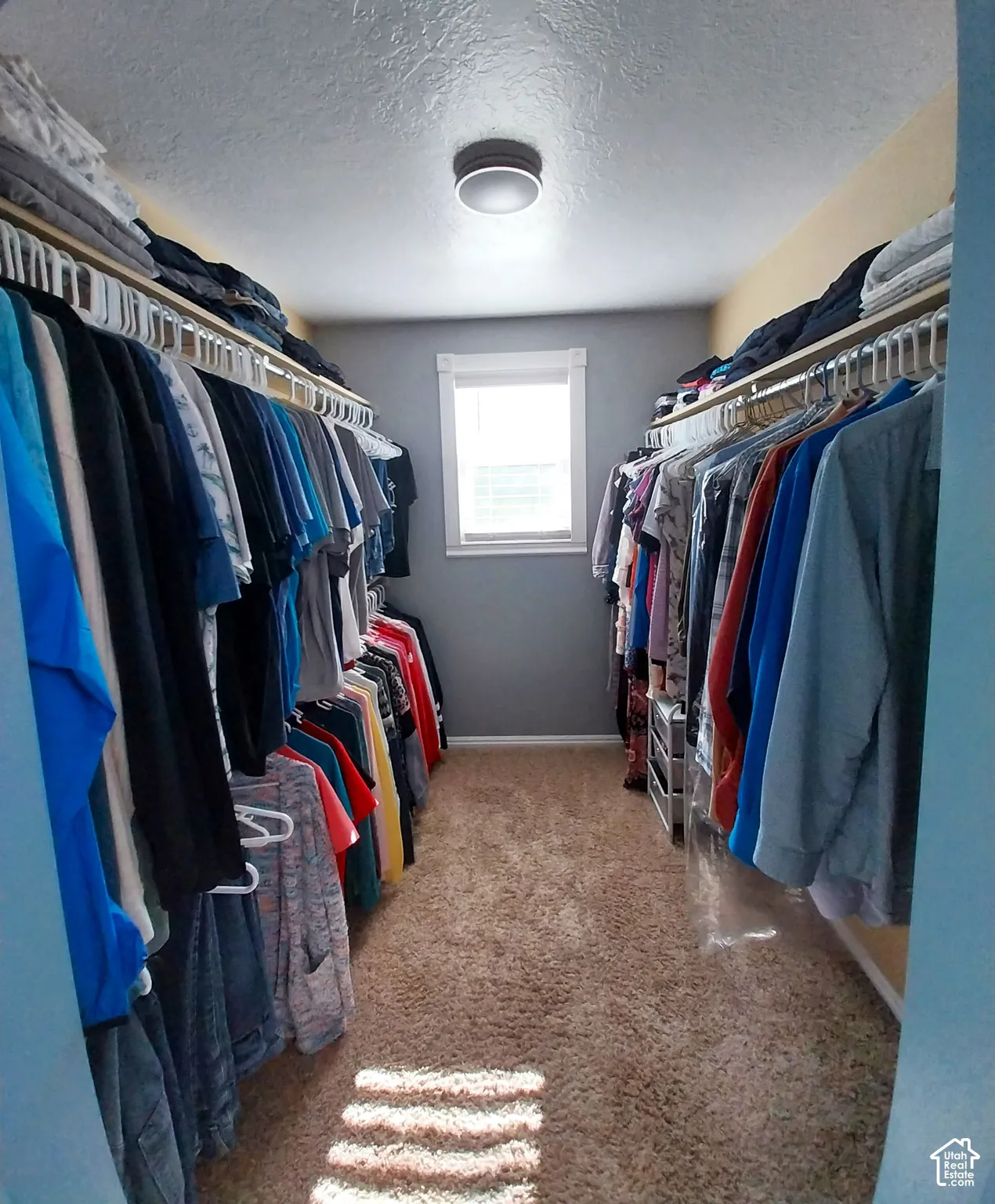 Walk in closet with light colored carpet