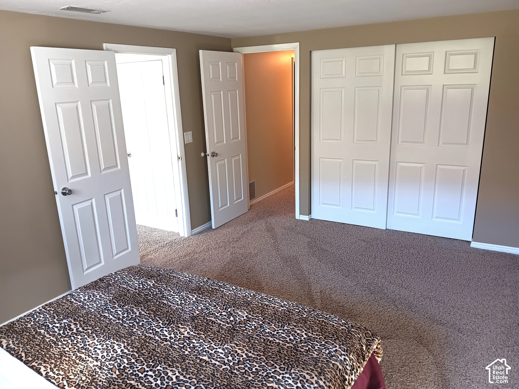 Wall-to-wall carpeting, paneled interior doors, and sliding closet doors