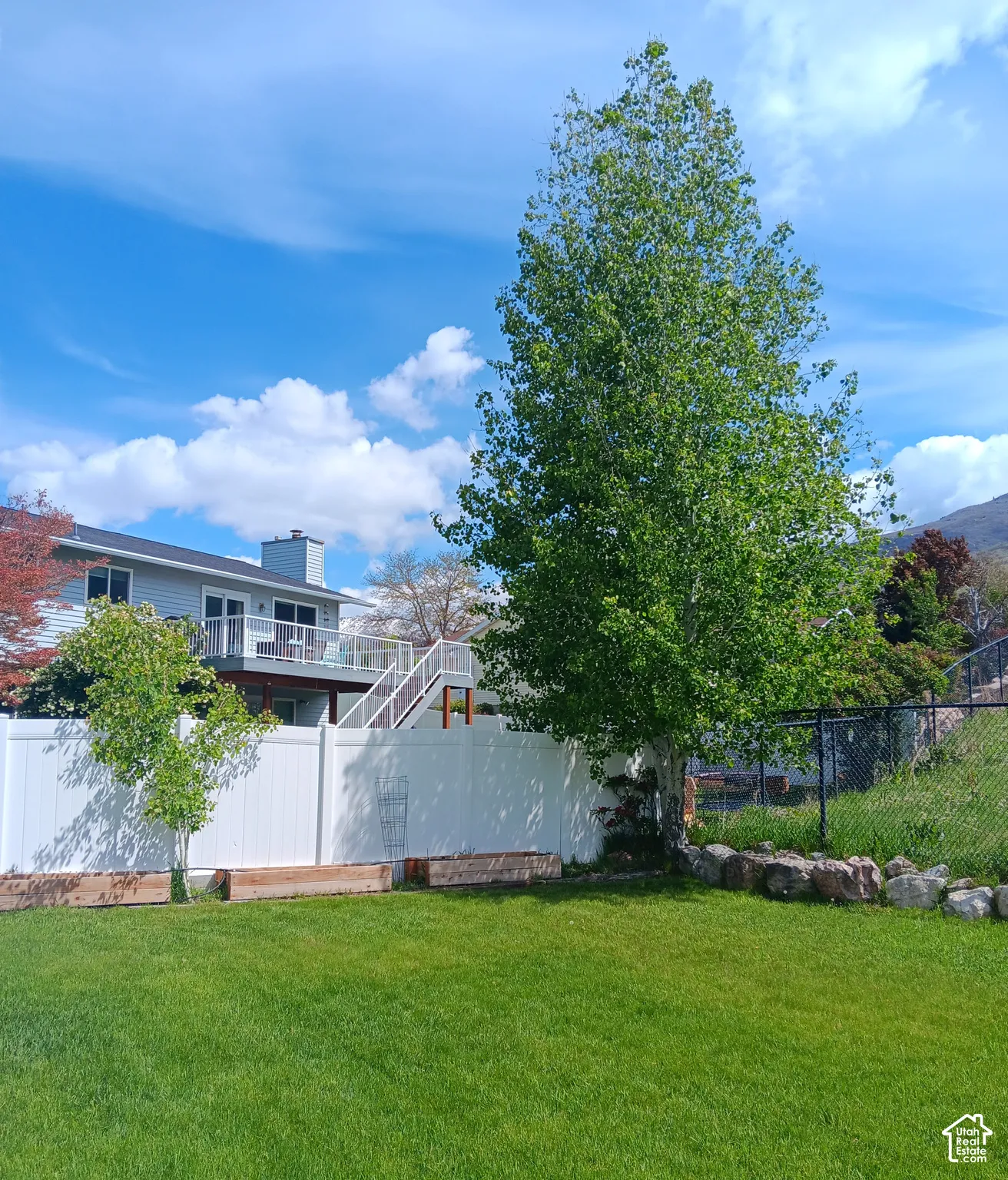 Fenced backyard featuring Red wood raised beds and a mature Quaking Aspen