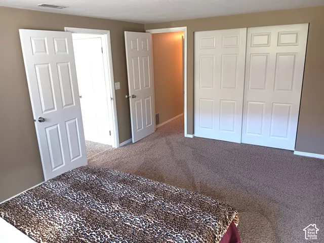 Wall-to-wall carpeting, paneled interior doors, and sliding closet doors