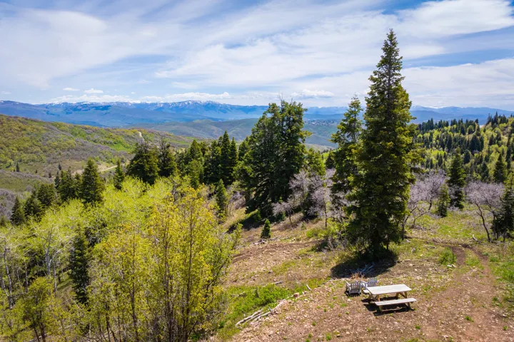 Mountainous terrain with evergreen and deciduous trees, featuring a picnic table