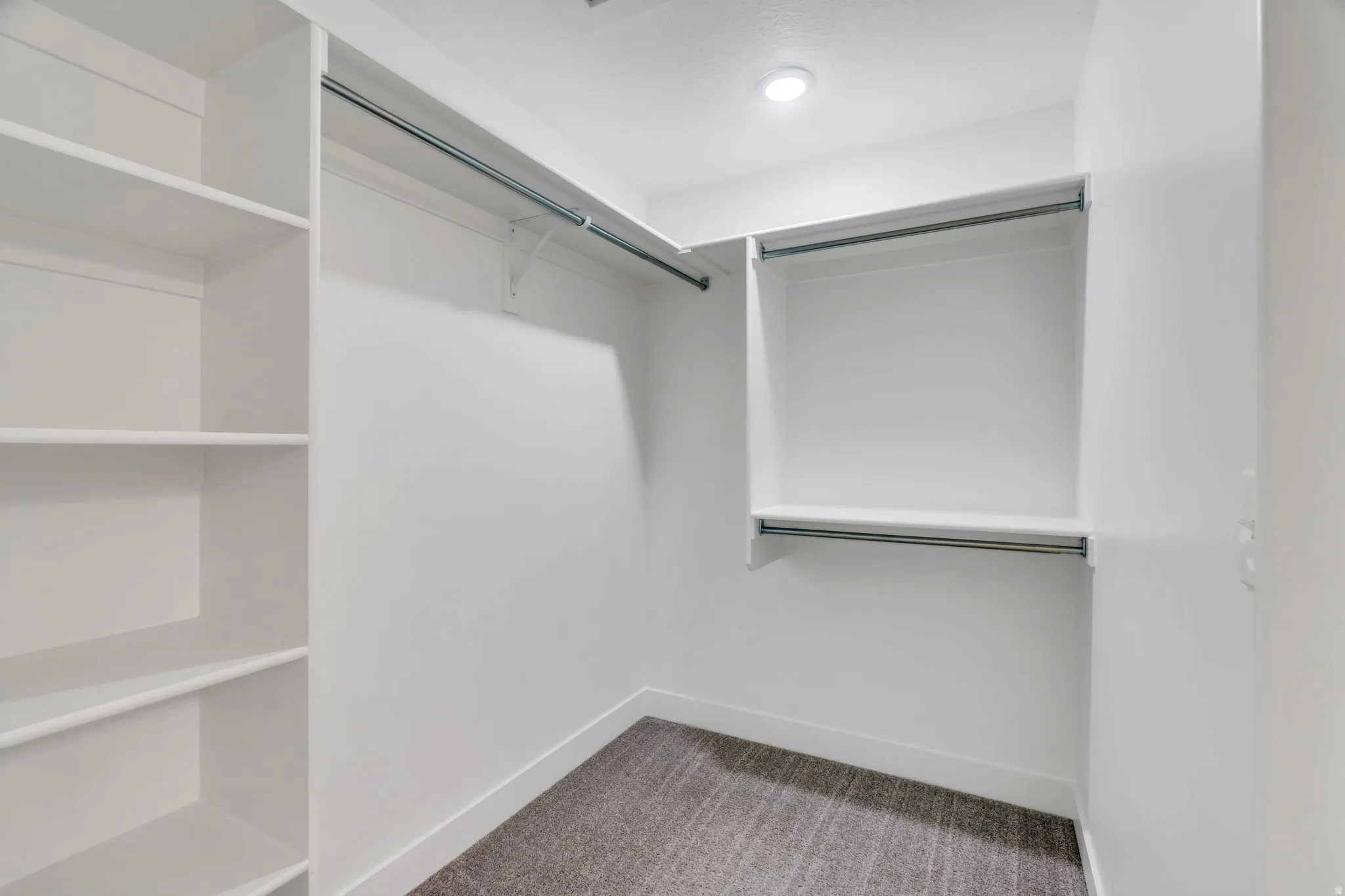 Walk-in closet featuring built-in shelving, white walls, recessed lighting, and carpet flooring