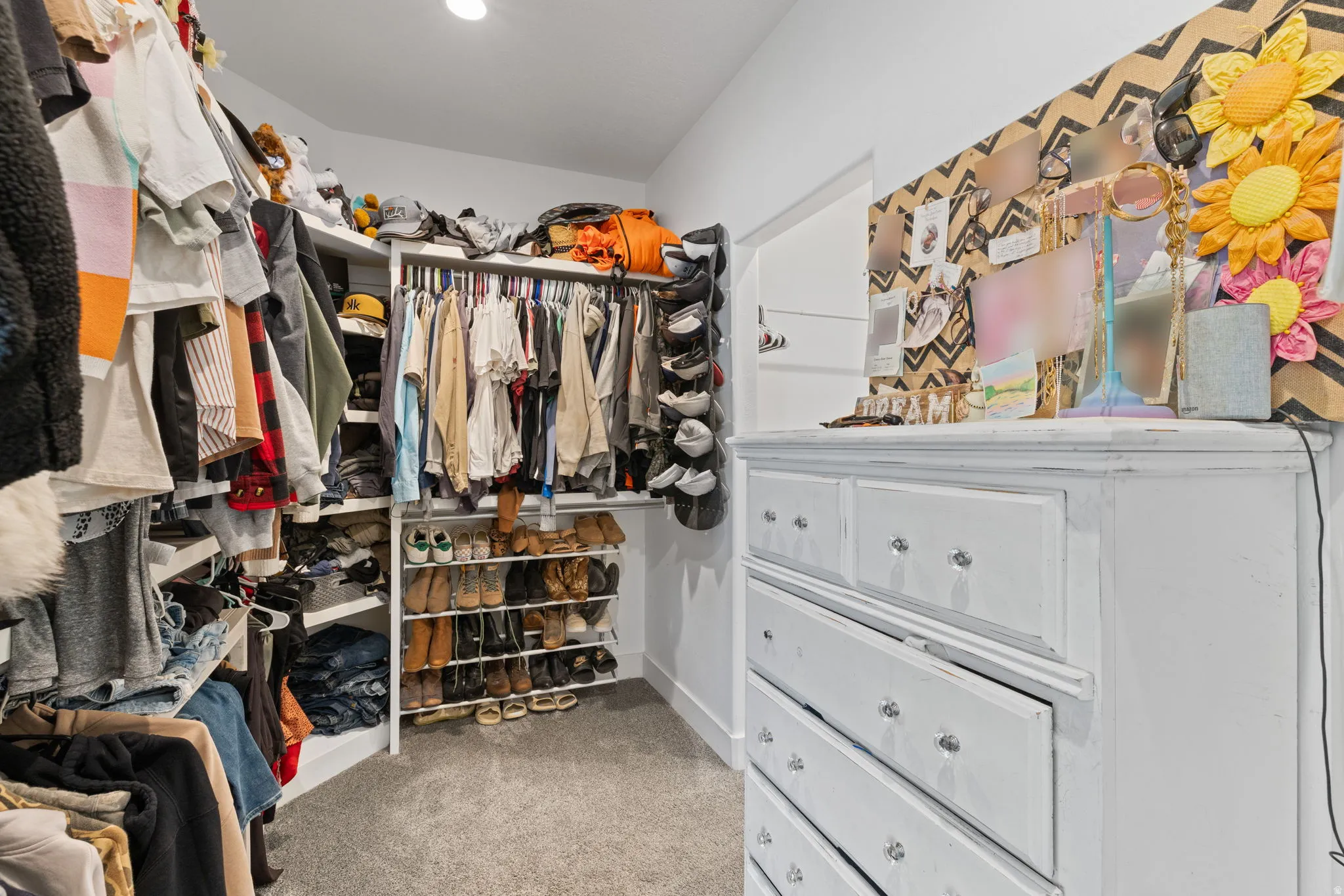 Primary Bedroom with en-suite, Walk-in closet featuring built-in shelving, hanging rods, carpet flooring, and recessed lighting