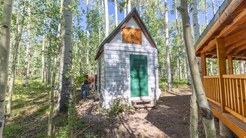 Wooded surroundings featuring a white siding shed with a green door and a natural wood porch