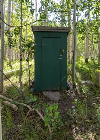 Freestanding green outbuilding with a sloped roof set amongst numerous aspen trees