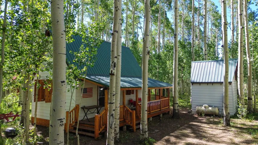 Wood-sided dwelling with a green metal roof and an expansive wood porch, surrounded by mature trees