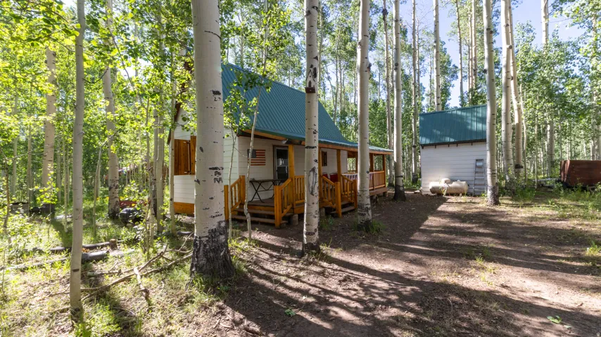 Wooded property featuring a main structure with a green metal roof and a covered porch with natural wood railings and steps