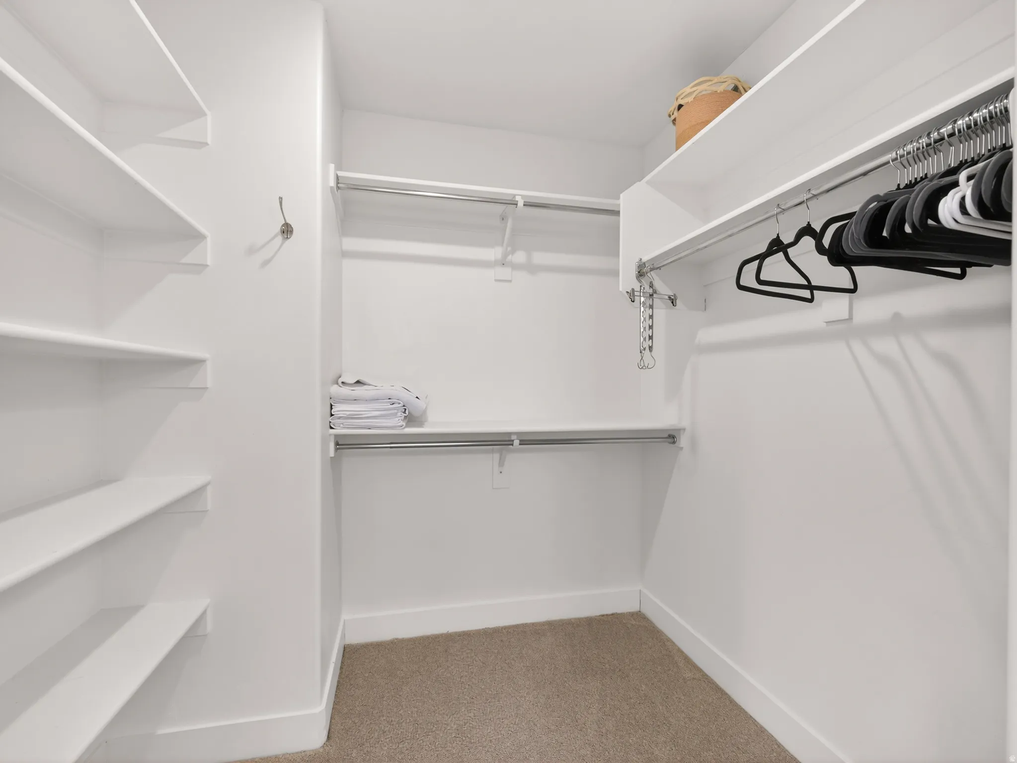 Custom closet system featuring multiple shelves, hanging rods, and light-toned carpet flooring