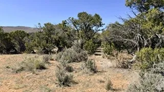 View of undeveloped land featuring rural landscape