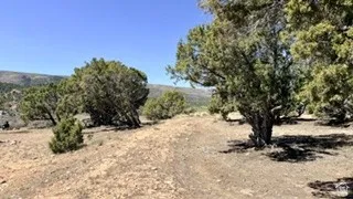 View of undeveloped land featuring rural landscape
