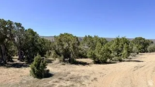 View of undeveloped land with rural landscape