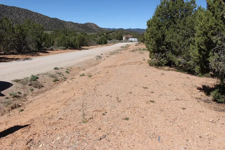 Unimproved land parcel with a gravel road frontage and natural desert vegetation