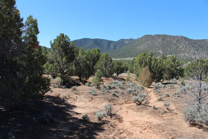 Expansive natural landscape with varied terrain and mature trees