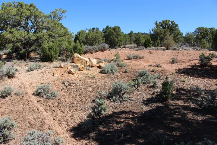Expansive land parcel featuring natural terrain, mature trees, sparse shrubbery, and visible rock formations under a clear sky