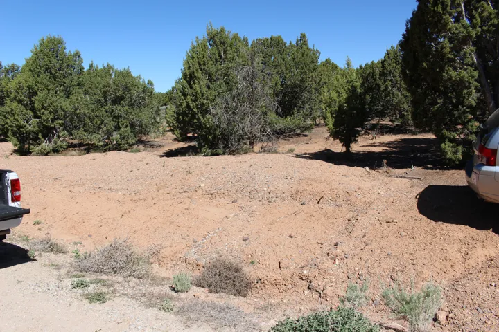 Arid landscape featuring natural vegetation and open land