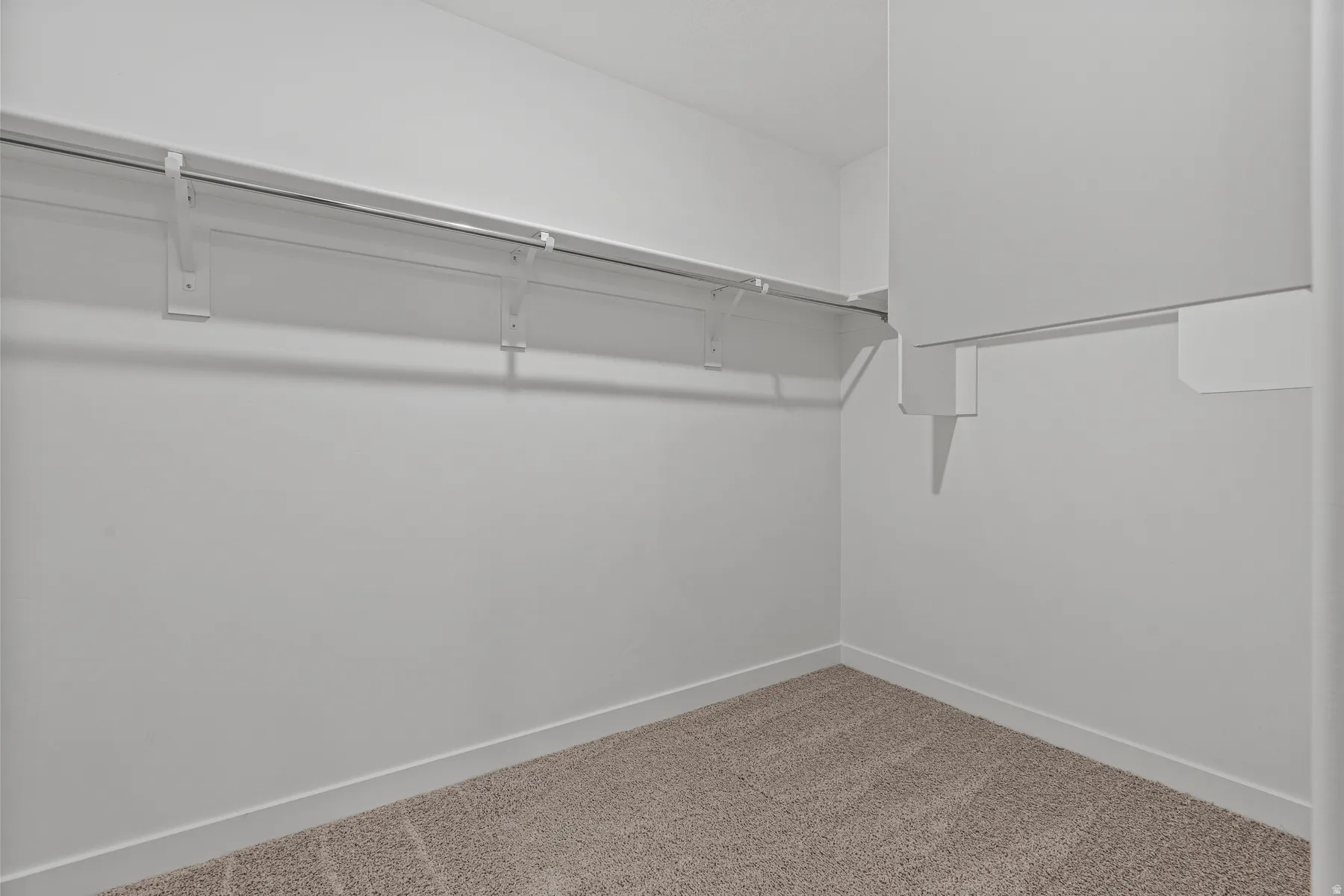 Walk-in closet with ample storage, featuring a hanging rod, shelving, white walls, white baseboards, and carpeted flooring