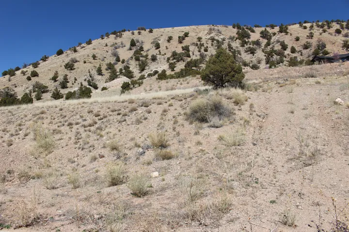 Expansive land parcel featuring an upward sloping terrain, natural desert vegetation, scattered evergreen trees, and a distant structure on the hillside